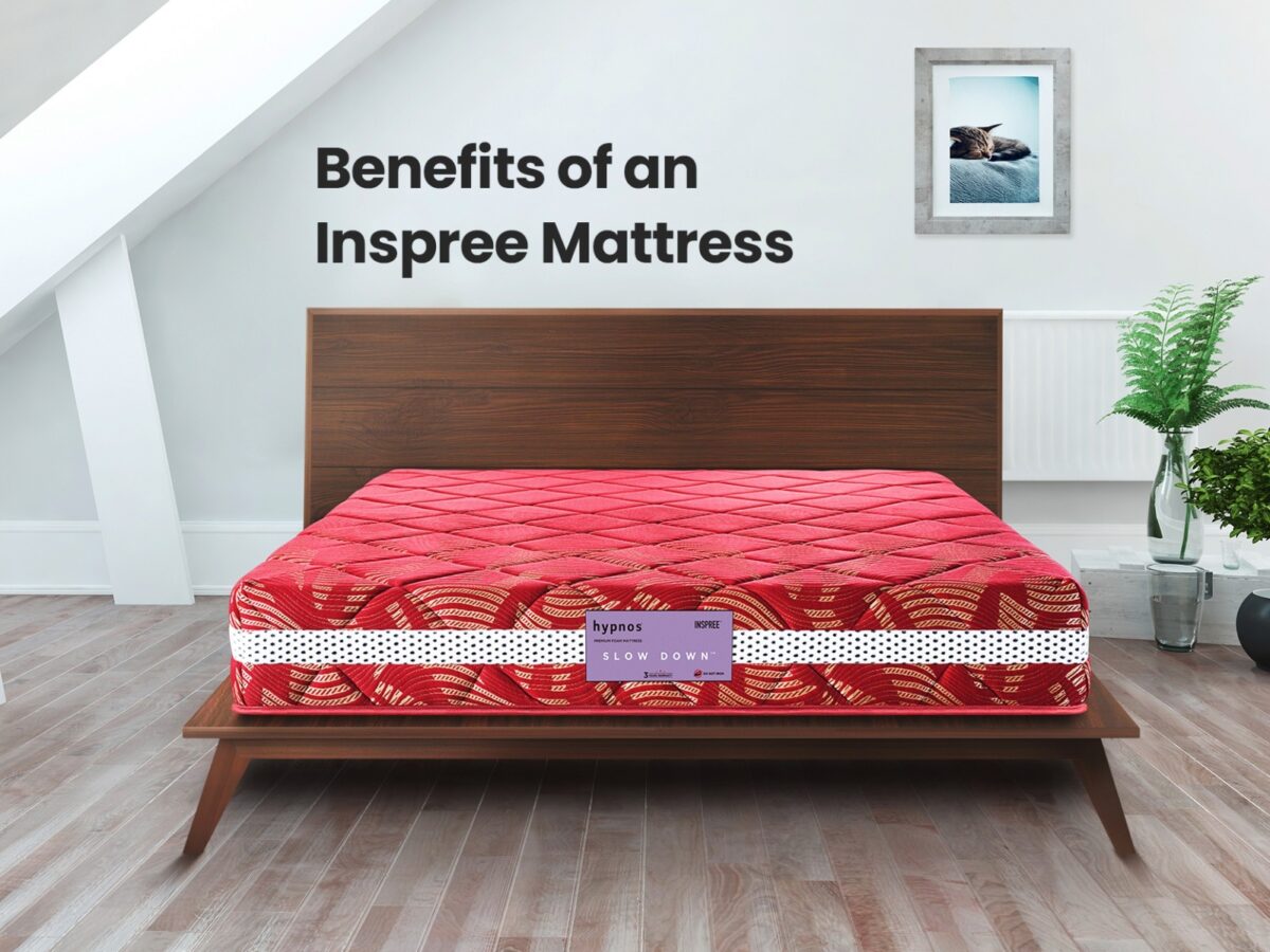 Night is the grand beginning of your day Hypnos India